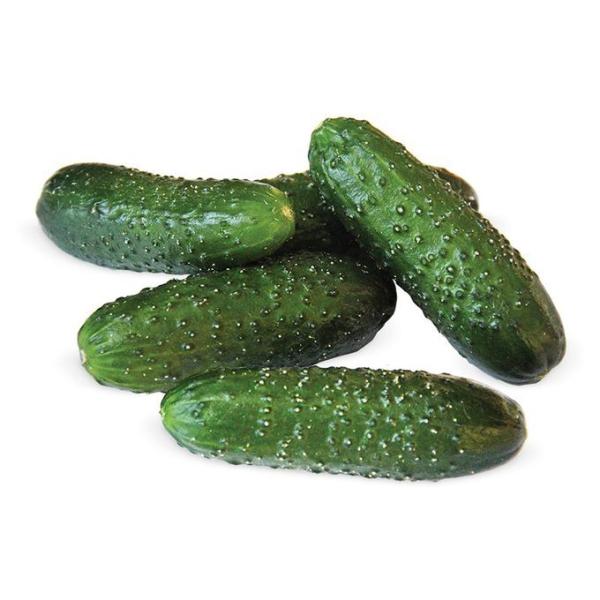 Огурцы короткоплодные Кураж 1 кг