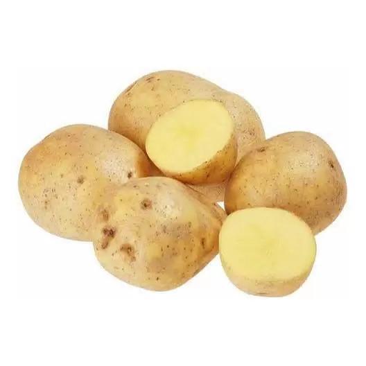 Картофель Гала 1 кг